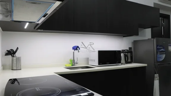 Model Image